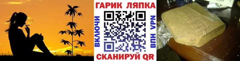 хочу   Грозный  mega   ГАШИШ убойный 