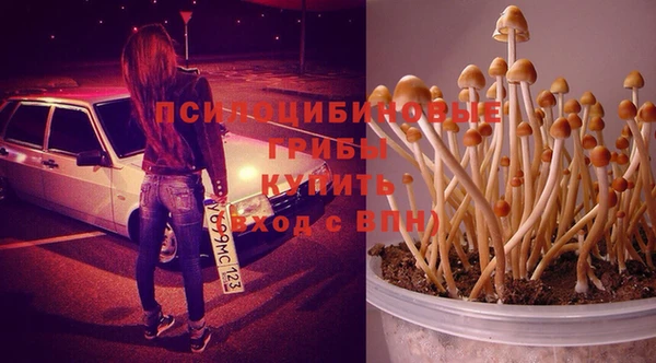 амф Абдулино
