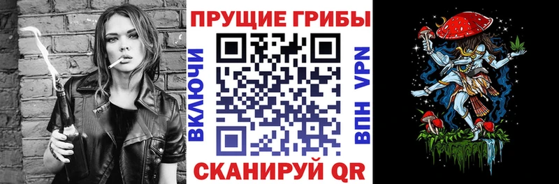 OMG зеркало  купить наркотик  Грозный  Галлюциногенные грибы прущие грибы 